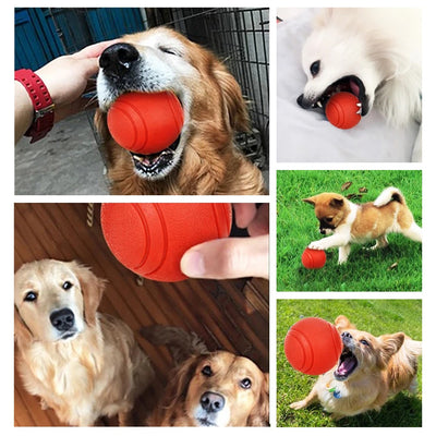 Orange rubber pet toy ball with textured surface and grooved lines, 5cm diameter, suitable for small dogs. - Image 3