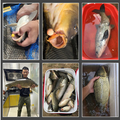 Carrete de Pesca Europeo con Núcleo de Plomo - Image 9