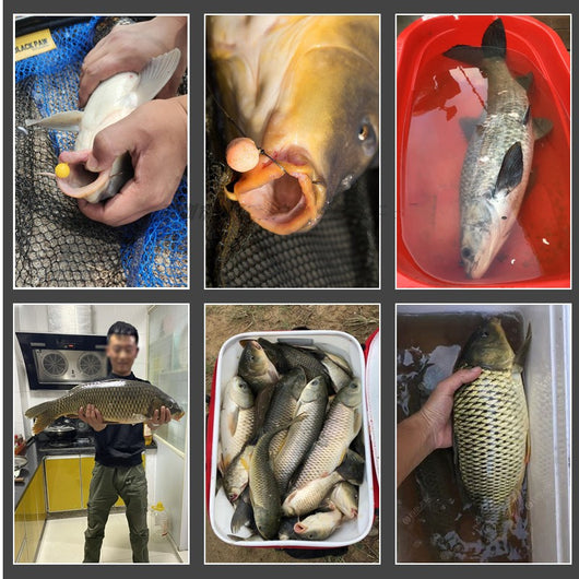Carrete de Pesca Europeo con Núcleo de Plomo - Image 9
