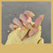 Uñas Postizas Decoradas con Acabado Mate y Textura Scrub