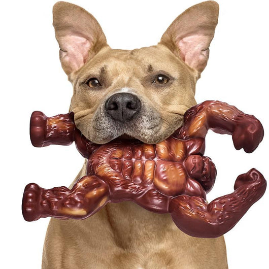 Juguete Masticable de Nylon con Sabor a Carne para Perros - Image 3