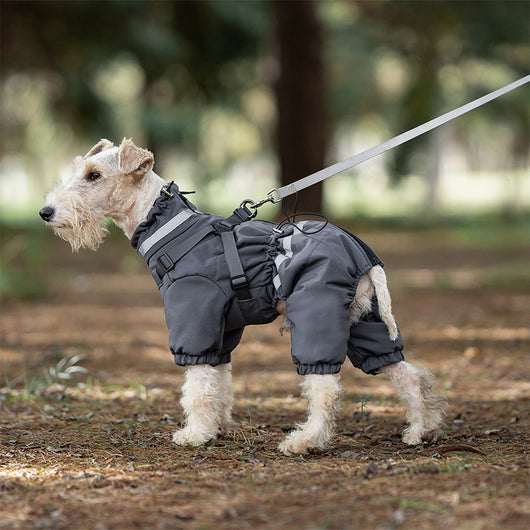 Abrigo Acolchado Térmico Integral para Invierno - Protección Total en Cuatro Puntos - Image 5