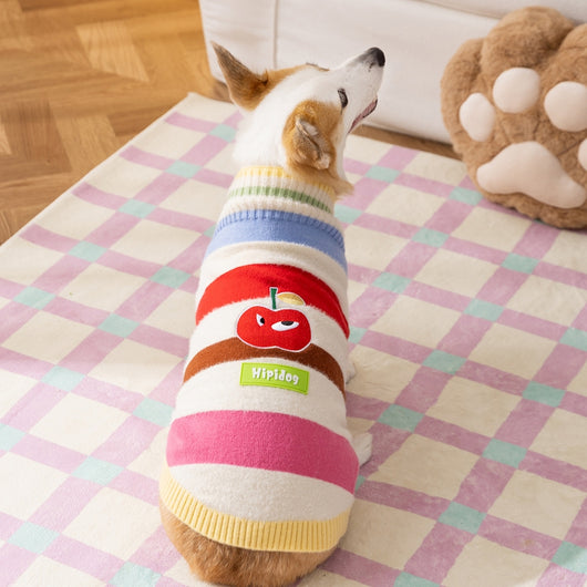 Suéter Cálido para Perro Mediano - Diseño Arcoíris con Rayas de Manzana para Otoño e Invierno - Image 12