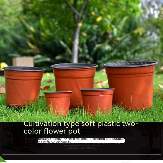 Maceta de Trasplante con Nutrientes Integrados - Vaso de Germinación Resistente - Image 18