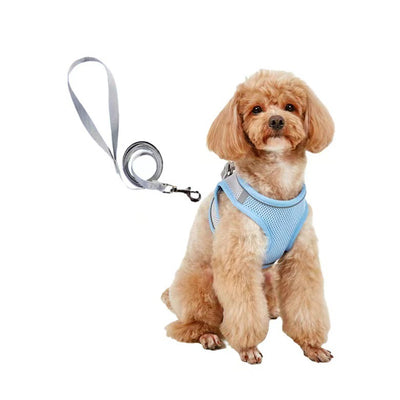 Small light brown poodle wearing an orange mesh dog vest harness with reflective trim and a retractable leash. - Image 7