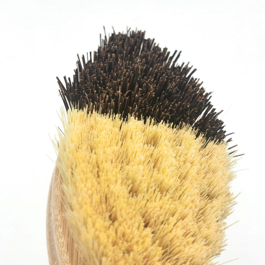 Cepillos de Bambú para Verduras Bicolor Ovalados - Image 10