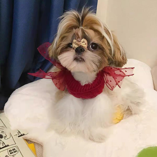 Suéter Abrigador para Mascotas - Diseño Adorable para Invierno - Image 12