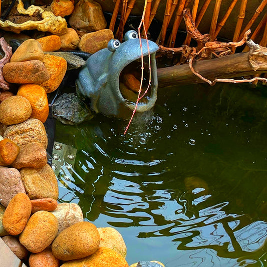 Fuente Decorativa con Ornamentos de Rana