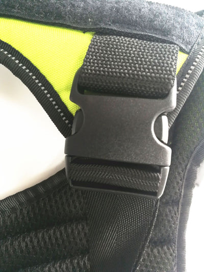 Arnés Pectoral para Perro con Cuerda de Mano - Chaleco Correa de Paseo - Image 25