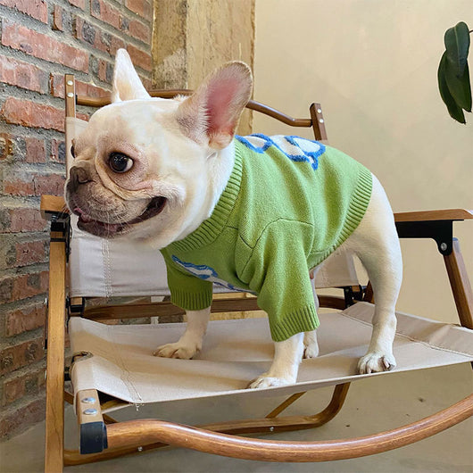 Suéter Abrigador para Perros Pequeños - Pug y Corgi Otoño Invierno - Image 5