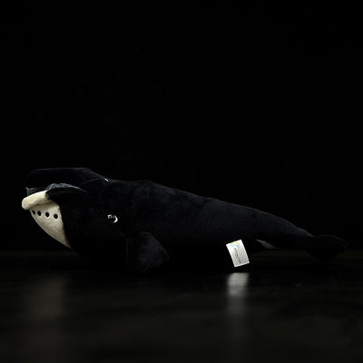 Muñeco de Ballena Boreal Adorable - Juguete Educativo Marino - Image 10