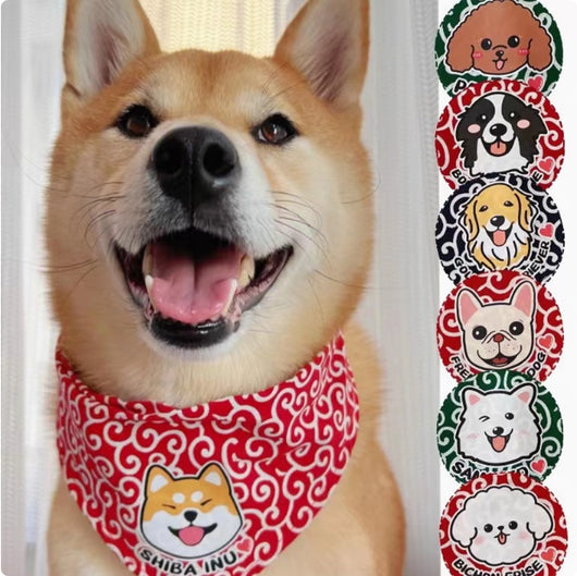 Pañoleta Triangular para Mascotas con Encaje Floral Tang - Image 11