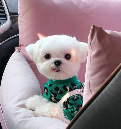 Suéter Leopardo Tejido para Perros Pequeños y Gatos - Image 9