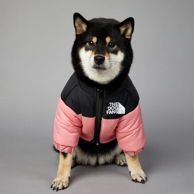 Abrigo Impermeable y Cortavientos para Perros - Ropa de Invierno Acolchada - Image 3
