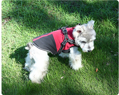 Ropa Impermeable para Mascotas en Algodón Resistente - Image 12