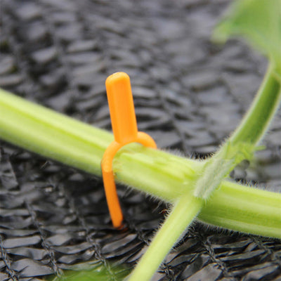 Clips Fijos para Guías de Plantas - 50 Unidades para Fresas, Sandías y Enredaderas - Image 4