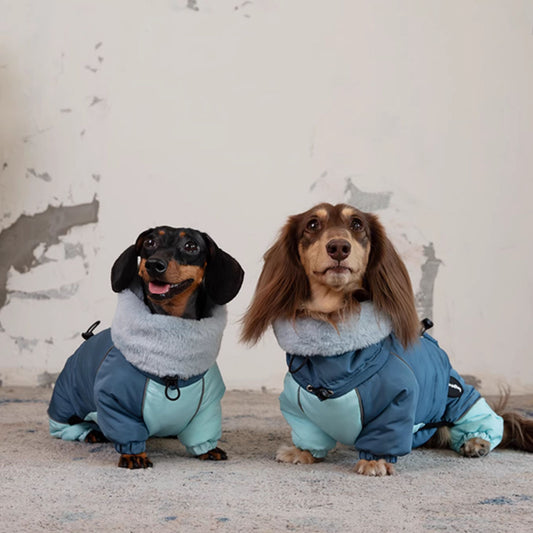 Abrigo Acolchado Térmico para Perros Salchicha - Invierno y Otoño