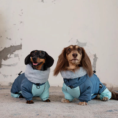 Abrigo Acolchado Térmico para Perros Salchicha - Invierno y Otoño