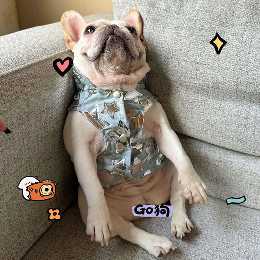 Chaleco Denim Fresco para Mascotas - Perros y Gatos Verano - Image 17