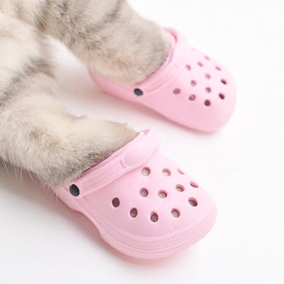 Zapatos de Verano para Perros con Estilo Personalizado - Image 10