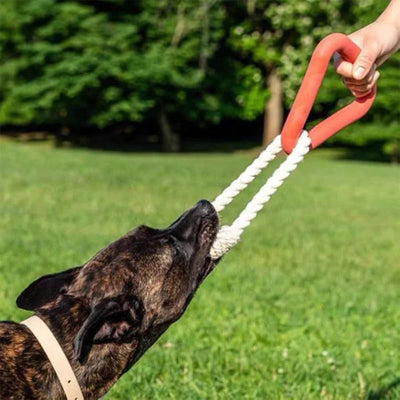 Juguete Interactivo de Cuerda para Perros - Anillo Triangular Resistente a Mordidas
