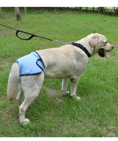 Pañales Higiénicos para Perros con Velcro Ajustable - Image 16