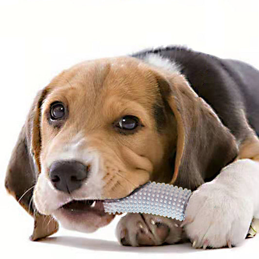 Juguete Interactivo Resistente para Perros - Entrena y Elimina el Aburrimiento - Image 2