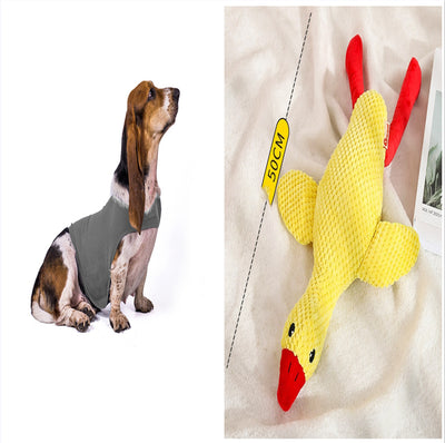 Chaleco Calmante para Mascotas - Ropa Terapéutica Antiansíedad para Gatos y Perros - Image 8
