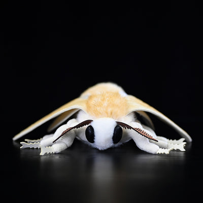 Peluche de Polilla Gusano de Seda - Muñeco Coleccionable de la Serie Insectos - Image 6