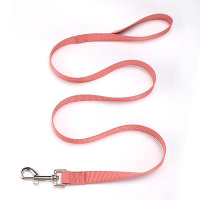 Cuerda de Paseo para Perros de Nylon Resistente - Image 16