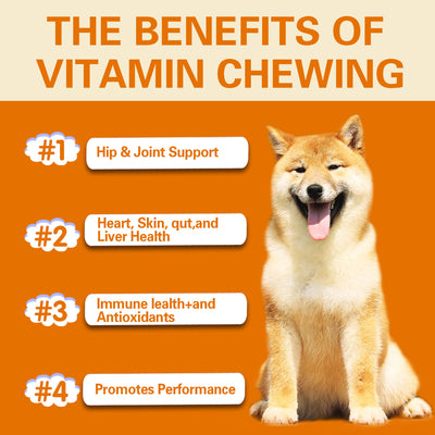 Youmile Multivitamin Chews for dogs, a white jar with an orange label, offering multifunctional health support for joints, skin, immunity, heart, gut, and antio - Image 4