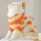 Ropa de Otoño para Gatitos - Control de Muda y Comodidad