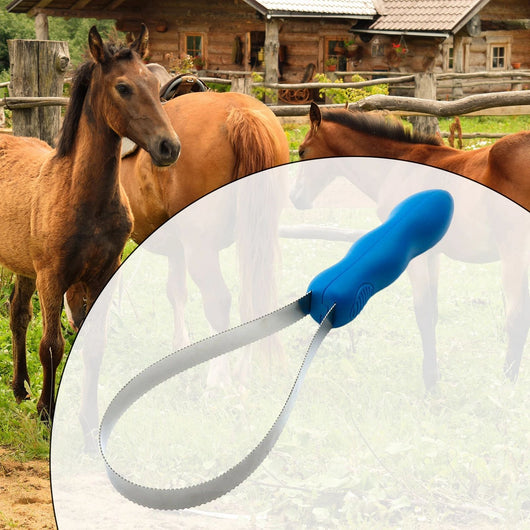 Peine Curry Profesional para Caballos y Animales - Rascador Antideslizante - Image 12