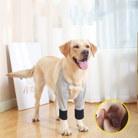 Protectores de Articulaciones para Mascotas - Protección Térmica y de Frío