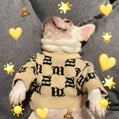 Suéter para Perro Schnauzer Teddy Aero Bull - Diseño Viral de Celebridad Internet - Image 4