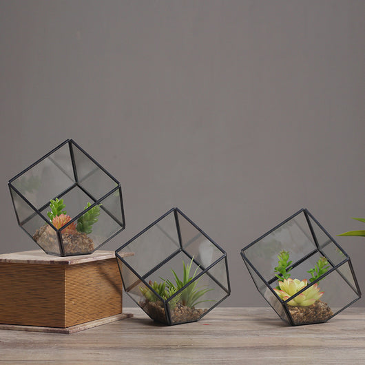 Invernadero de Vidrio Cuadrado Oblicuo - Maceta Transparente para Plantas - Image 6