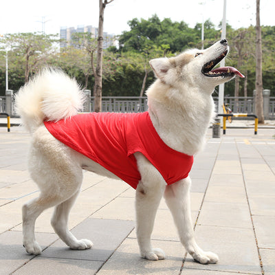 Chaleco y Camiseta para Perro XS-5XL | Ropa Fresca para Perros Pequeños - Image 16