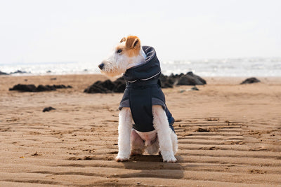 Abrigo Impermeable para Perros - Protección Contra Viento y Frío - Image 22