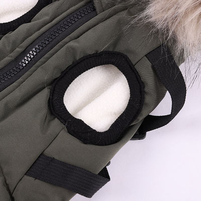 Abrigo de Algodón para Perros Bichon - Ropa de Otoño e Invierno con Correa - Image 22
