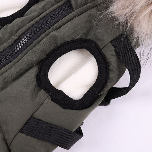 Abrigo de Algodón para Perros Bichon - Ropa de Otoño e Invierno con Correa - Image 22
