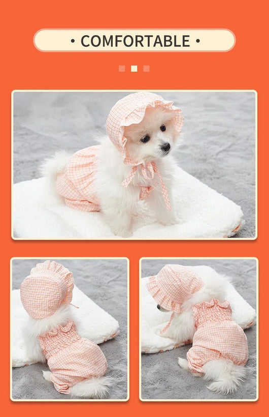 Conjunto de Ropa para Perro Mono Naranja con Gorro - Outfit Fashionable para Mascotas Pequeñas - Image 12