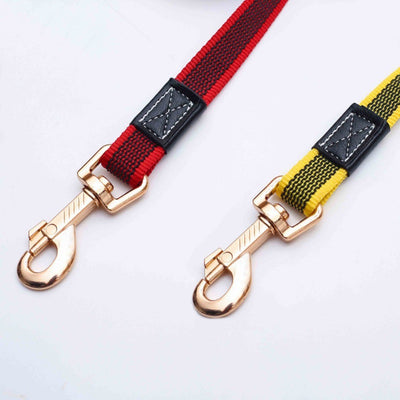 Cuerda de Entrenamiento Antideslizante para Perros Grandes - Extensible y Segura - Image 8