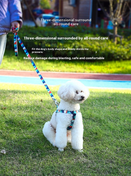 Arnés de Seguridad para Perros con Cuerda de Transporte - Image 10