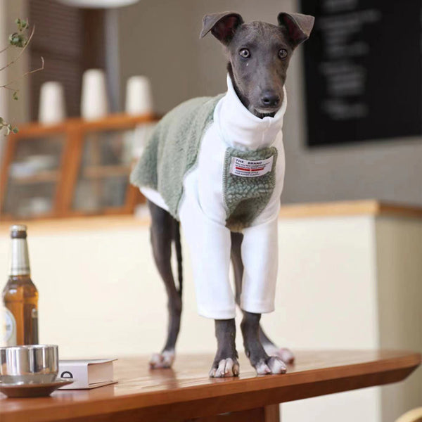 Ropa para Perros Pequeños y Medianos Whybit - Accesorios para Galgos