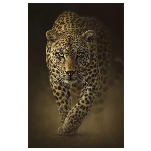 Cuadro Canvas Tigre Africano Salvaje - Poster Decorativo - Image 15