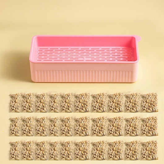 Kit de Pasto Hidropónico para Gatos sin Tierra - Image 7