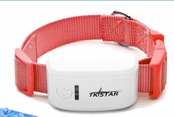 GPS Tracker for Cats - Real-Time Tracking
