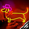 Cachorro 35 X 25 5 V Dimerizável