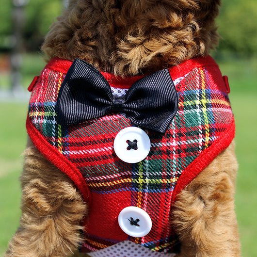 Vestido de Gala para Perro Pequeño Estilo Chaleco Teddy con Lazo - Image 17