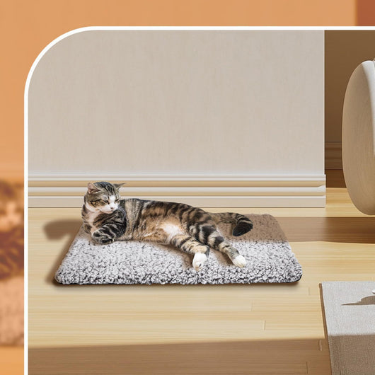 Manta Térmica Calefactable para Mascotas - Gatos, Perros y Cachorros - Image 3